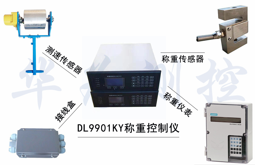 DL9901KY称重控制仪