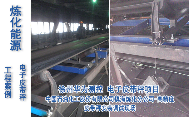 中国石油化工股份有限公司镇海炼化分公司_专业电子游戏平台生产厂家