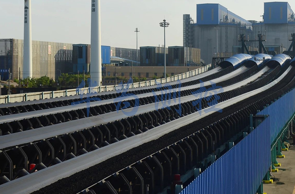 给煤机皮带秤HW9000行业经验丰富