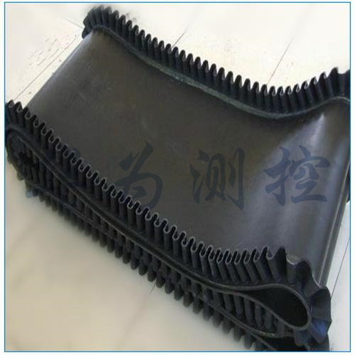 给料机给煤机环形裙边耐高温阻燃计量胶带